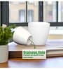 Pack Of 3 White Terracotta Desk Pots