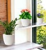 Pack Of 3 White Terracotta Desk Pots