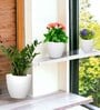 Pack Of 3 White Terracotta Desk Pots