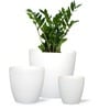 Pack Of 3 White Terracotta Desk Pots