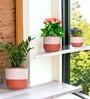 Pack Of 3 White Terracotta Desk Pots