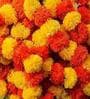 (2Pcs) Marigold Plastic Artificial Garland (Yellow & Orange)