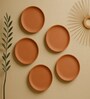 (Set  Of  5 )Terracotta Wallplate 11 Inches