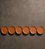 (Set  Of  6 )Terracotta Wallplate 11 Inches