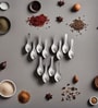 (Set of 12) Stainless Steel Small Masala Spoon
