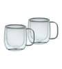 (Set of 2) 220ml Double Wall Glass Coffee Mug