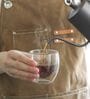 (Set of 2) 250ml Double Wall Insulated Glass Coffee Tumbler