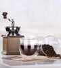 (Set of 2) 250ml Double Wall Insulated Glass Coffee Tumbler