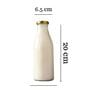(Set of 2) 500ml Glass Bottle with Airtight Leak-Proof Cap   Milk, Juice, Water, Shakes, Fridge Storage, Outdoor (Transparent)