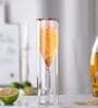 (Set of 2) Crystal Collection 150ml Double Wall Insulated Glass Wine Glasses