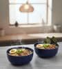 (Set of 2) Fine Scratch Resistant Porcelain Dinner Bowl