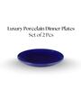 (Set of 2) Premium Scratch & Chip Resistant Porcelain Salad Plate