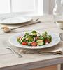 (Set of 2) Premium Scratch & Chip Resistant Porcelain Salad Plate