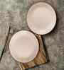 (Set of 2) Sandstone Speckle 10.6 Inch Dinner Plate (White)