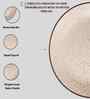 (Set of 2) Sandstone Speckle 10.6 Inch Dinner Plate (White)