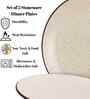 (Set of 2) Sandstone Speckle 10.6 Inch Dinner Plate (White)