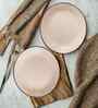 (Set of 2) Sandstone Speckle 10.6 Inch Dinner Plate (White)