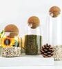 (Set of 3) Airtight Glass Storage Jar with Cork Ball Lid   Round Kitchen Container (Transparent)