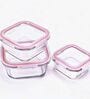 (Set of 3) Square Collection 300ml 500ml 800ml Airtight Glass Storage Containers