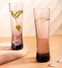 (Set of 6) Cerveza 340 ml Glass Beer Glass Purple