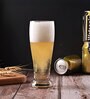 (Set Of 6) Crystal Glass Lead Free Beer Glass