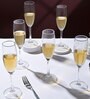 (Set of 6) Crystal Glass Lead Free Champagne Glasses