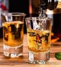 (Set Of 6) Crystal Glass Lead Free Shot Glass