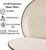(Set of 6) Sandstone Speckle 10.6 Inch Dinner Plate (White)
