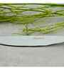 (Set Of 6) Silver Luxe 304 Food Grade Stainless Steel Silver Knife