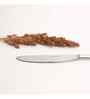 (Set Of 6) Silver Luxe 304 Food Grade Stainless Steel Silver Knife