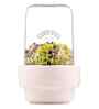 0.5 Ltr Sprouting Glass Jar with Stainless Steel Lid And Ceramic Base