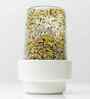 0.5 Ltr Sprouting Glass Jar with Stainless Steel Lid And Ceramic Base