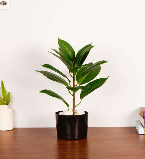 1.8Ft Artificial Rubber Plant with Black Pot