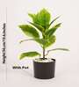 1.6Ft Artificial Croton Plant with Black Pot