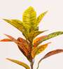 1.6Ft Artificial Croton Plant with Red Green Leaves