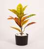 1.6Ft Artificial Croton Plant with Red Green Leaves