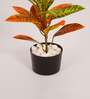 1.6Ft Artificial Croton Plant with Red Green Leaves