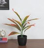 1.6Ft Artificial Red Croton Plants with Black Pot
