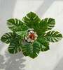 1.8Ft Artificial Monstera Deliciosa Plant with Black Pot