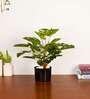 1.8Ft Artificial Monstera Deliciosa Plant with Black Pot