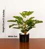1.8Ft Artificial Monstera Deliciosa Plant with Black Pot