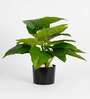 1.8Ft Artificial Philodendron Plant with Black Pot