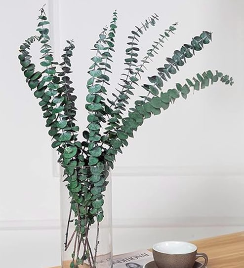 Set Of 10 Green Plastic Eucalyptus Dried Plants
