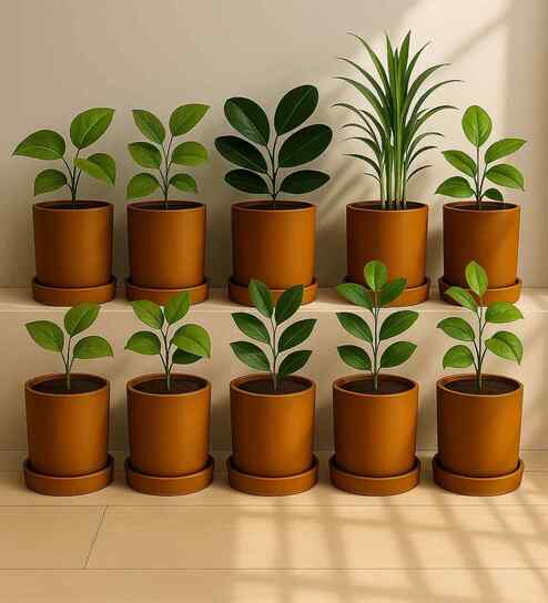 10 Pcs Red Terracotta 4 Inchs Planters