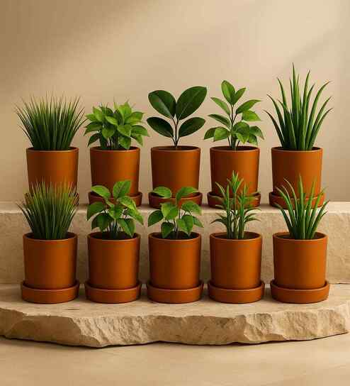 10 Pcs Red Terracotta 6 Inchs Planters