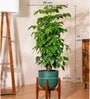 China Doll With Arbor Pot