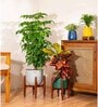 China Doll With Arbor Pot