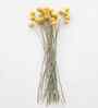 10 Billy Ball & 5 Eucalyptus Artificial Flower Bunch