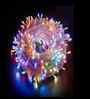 10 Mtr- 100 LED