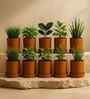 10 Pcs Red Terracotta 4 Inchs Planters